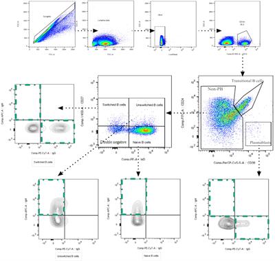 Dynamics of humoral immune response in SARS-CoV-2 infected individuals with different clinical stages